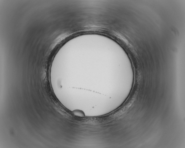 X0000111381259200908071228