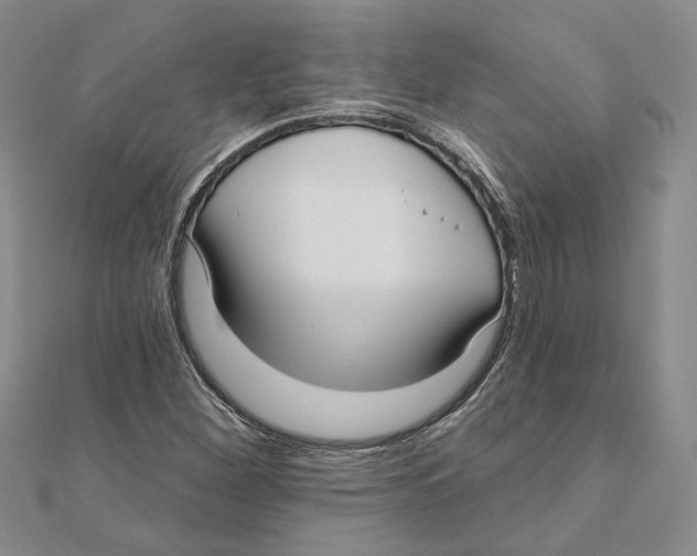 X0000111381260200908071228