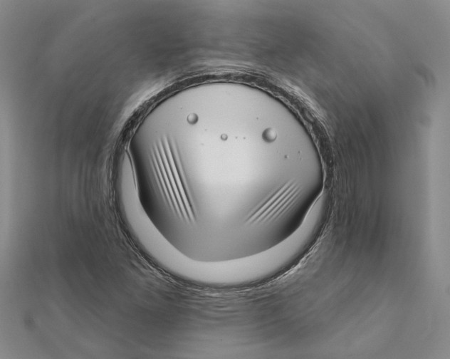 X0000111381261200908071228