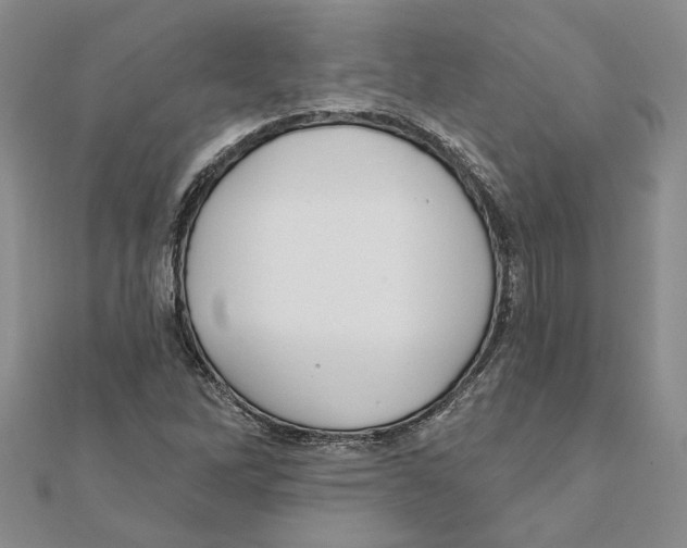 X0000111381262200908071228