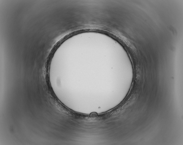 X0000111381264200908071227