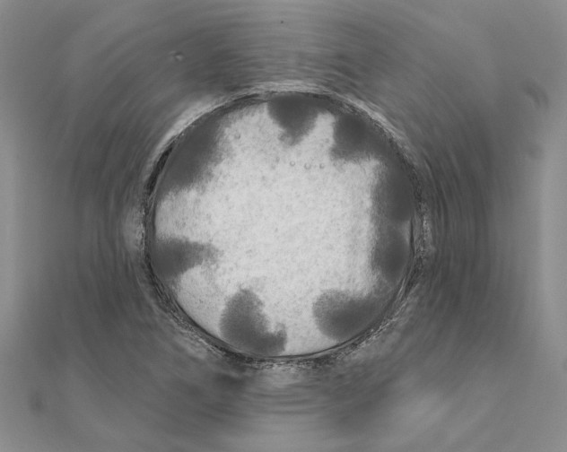 X0000111381266200908071227