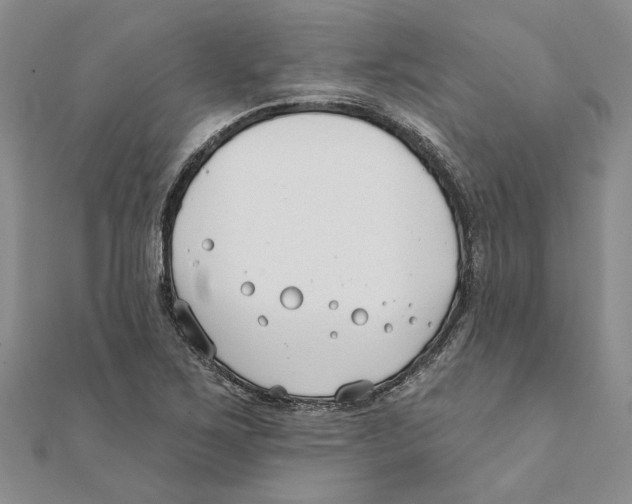 X0000111381267200908071227