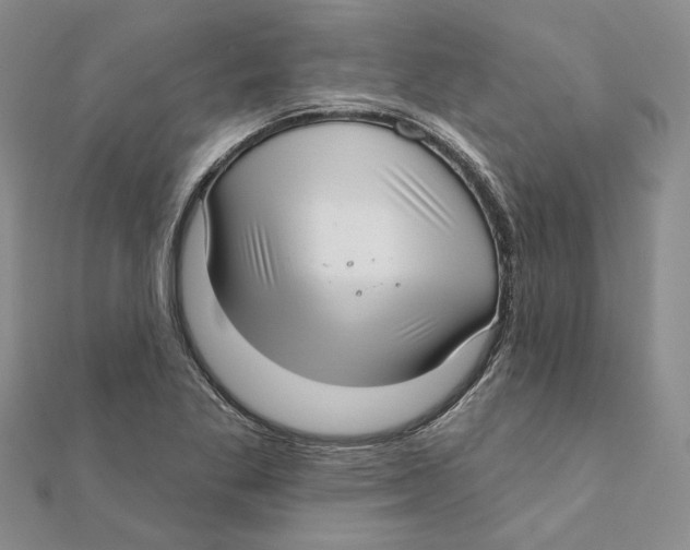 X0000111381269200908071227