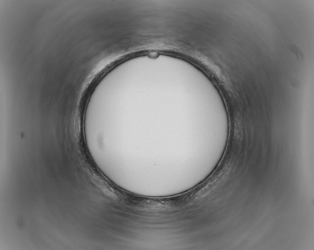 X0000111381270200908071227