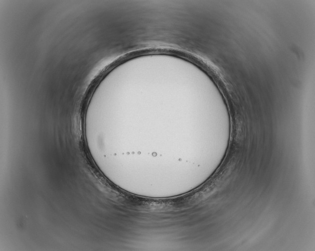 X0000111381271200908071227