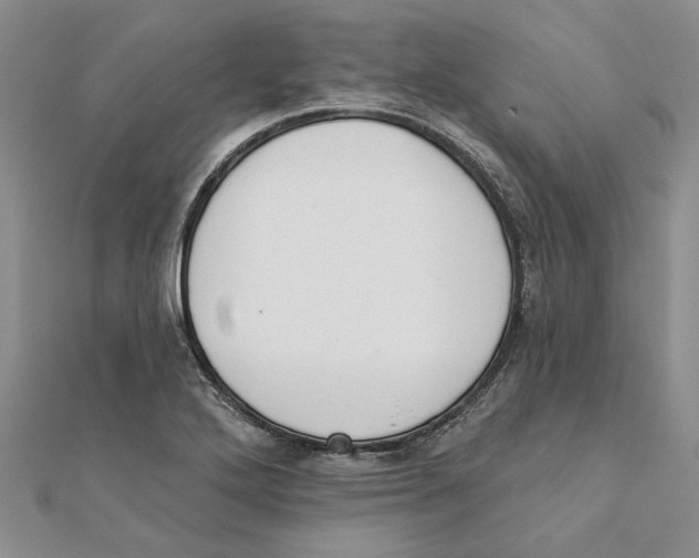 X0000111381272200908071227