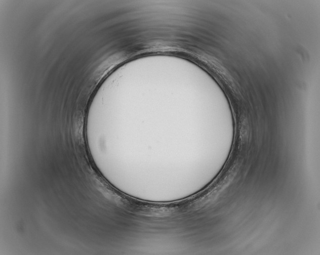 X0000111381273200908071227