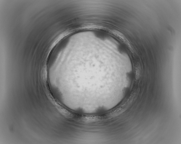 X0000111381274200908071227