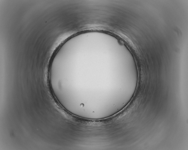 X0000111381277200908071227