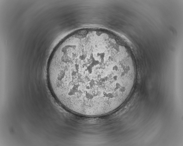 X0000111381279200908071227