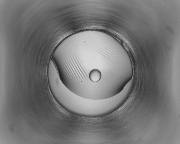 X0000111381281200908071227