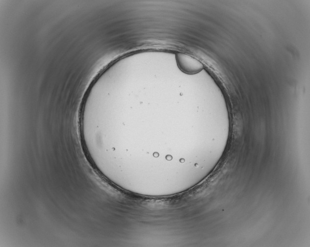 X0000111381283200908071227