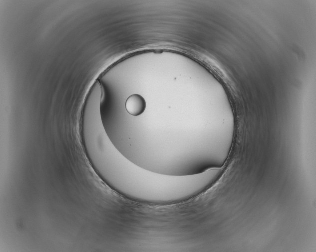 X0000111381284200908071227