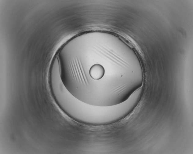 X0000111381285200908071227