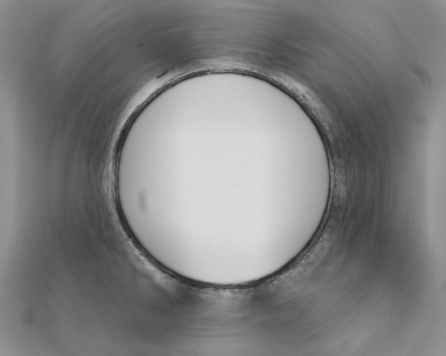 X0000111381286200908071227