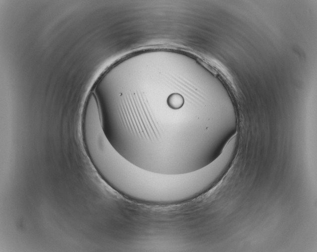 X0000111381288200908071227