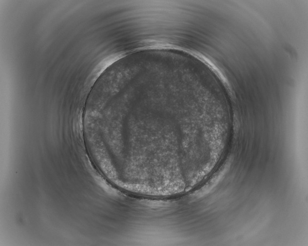 X0000111381289200908071227