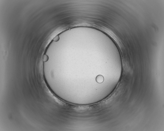 X0000111381290200908071227