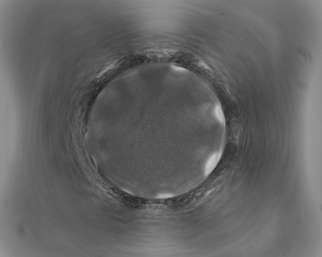 X0000111381297200908071226