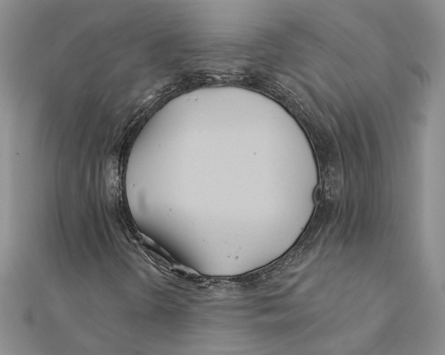 X0000111381298200908071226