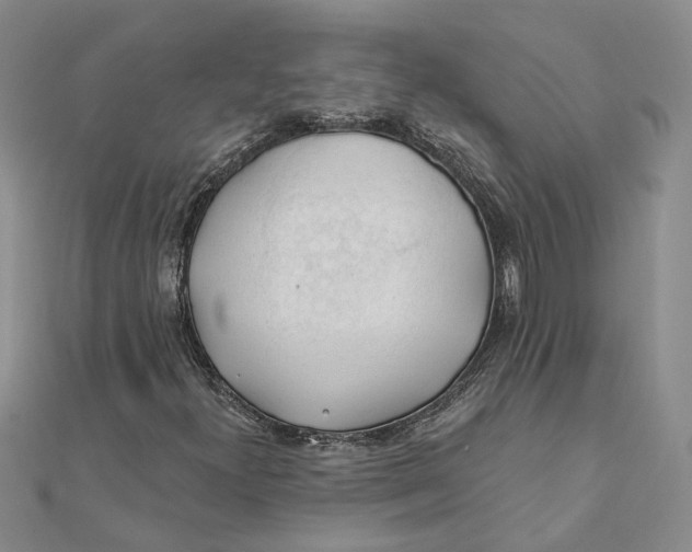 X0000111381300200908071226