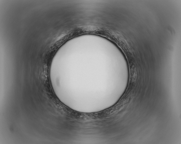 X0000111381301200908071226