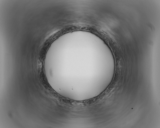 X0000111381302200908071226