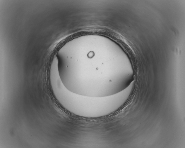 X0000111381304200908071227