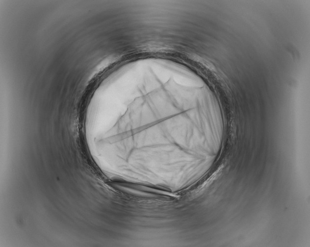 X0000111381306200908071227