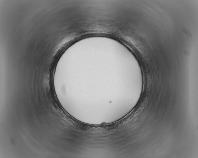 X0000111381307200908071227