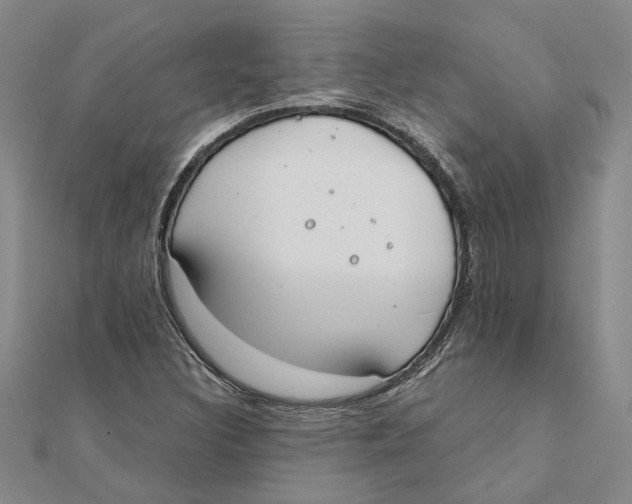 X0000111381308200908071227