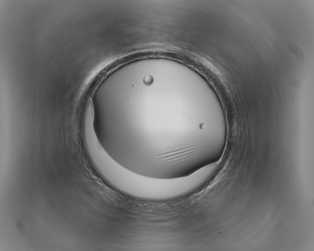 X0000111381310200908071227