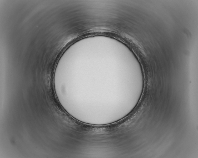 X0000111381313200908071227