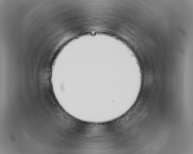 X0000111381314200908071227