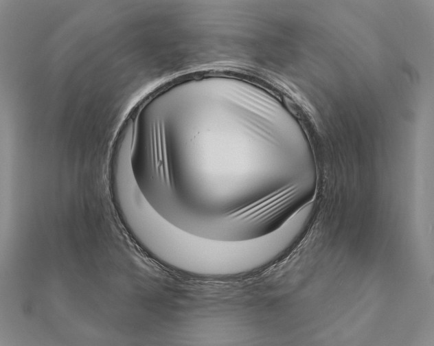 X0000111381316200908071227