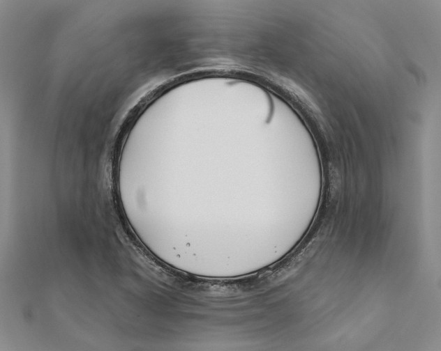 X0000111381318200908071227