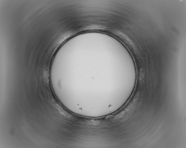 X0000111381321200908071227