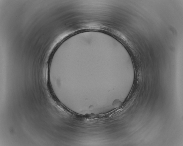 X0000111381323200908071227