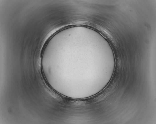 X0000111381324200908071227