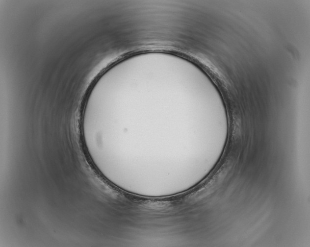 X0000111381325200908071227