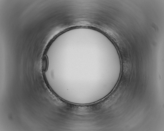 X0000111381326200908071227