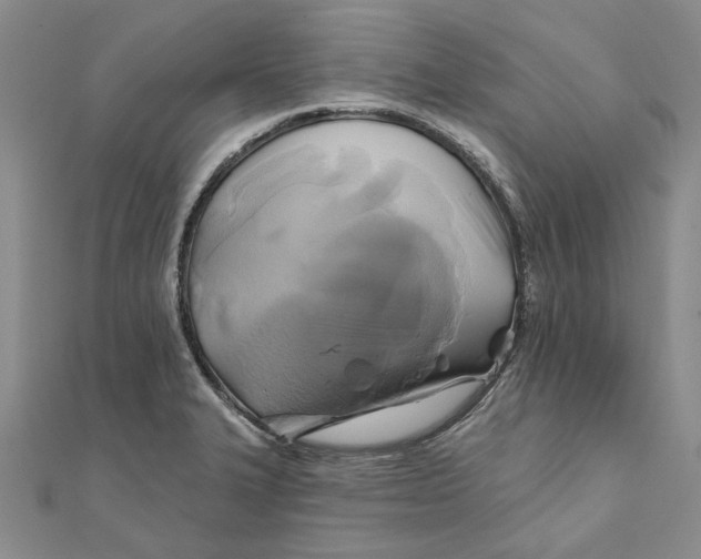 X0000111381327200908071227