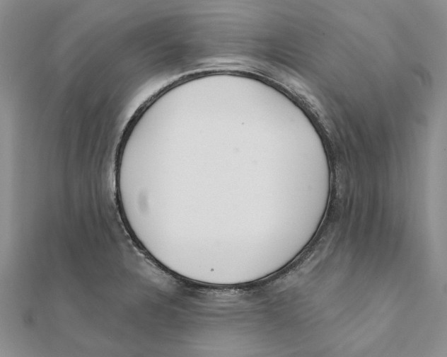 X0000111381328200908071227