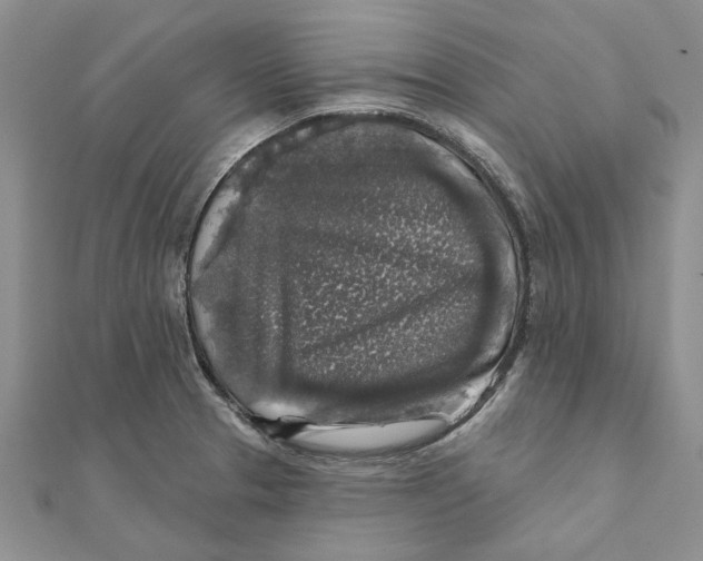 X0000111381329200908071227