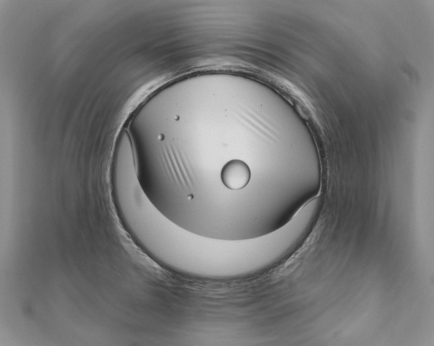 X0000111381330200908071227