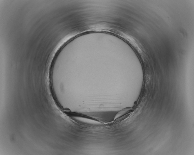 X0000111381331200908071227