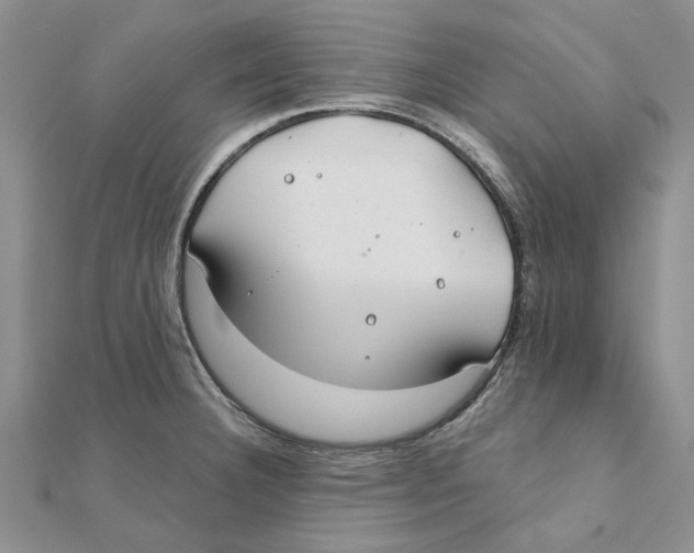 X0000111381332200908071227