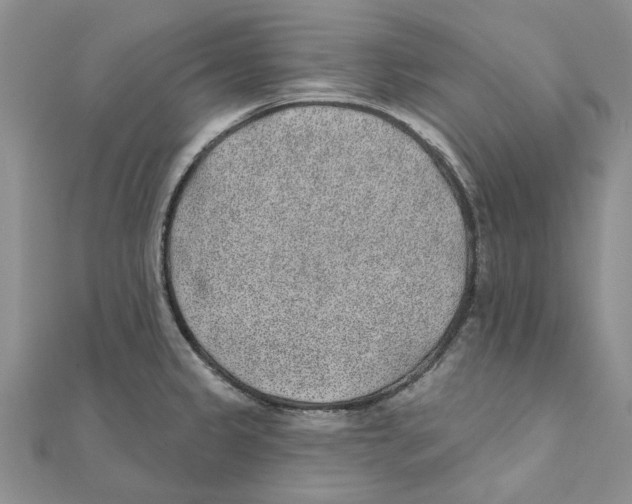 X0000111381333200908071227