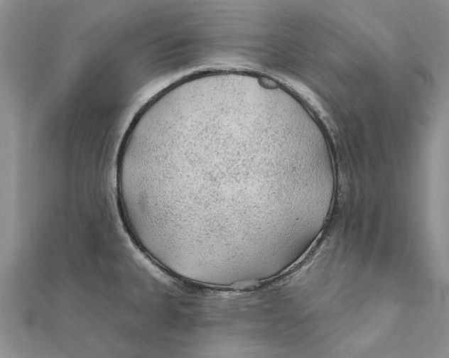 X0000111381335200908071227